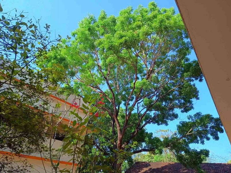 പ്രമാണം:DocScanner 14-Mar-2025 10-49 am.jpg