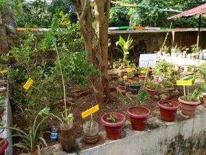 Jaivavaividya udyanam.jpg