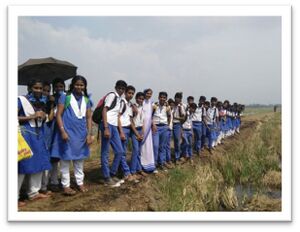 Kuttanadu 16 35052 (5).jpg