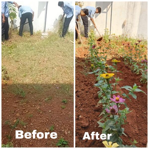 പ്രമാണം:11029 beautiful image.jpeg