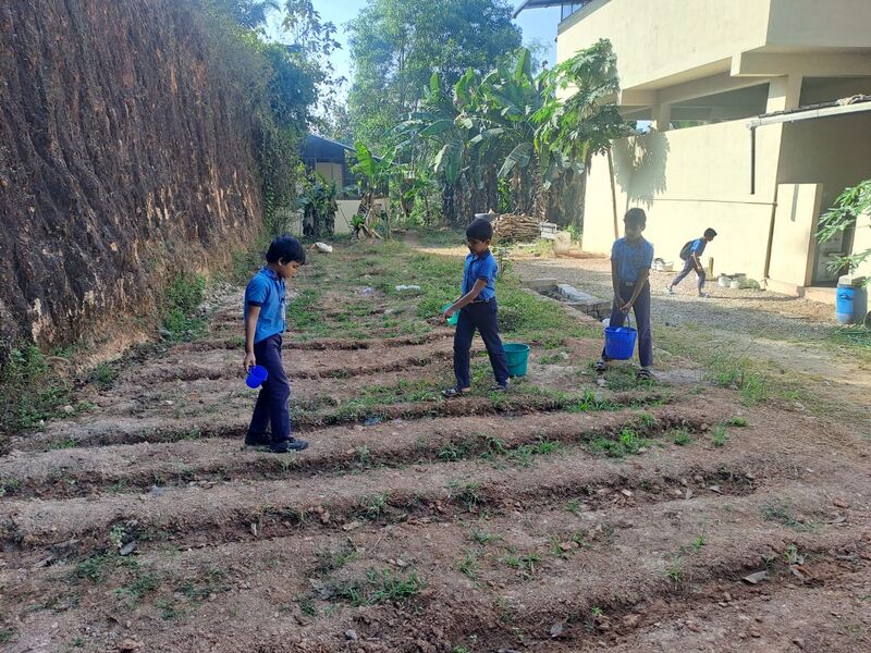 പ്രമാണം:13040 GARDEN MAKING IMG-20250124-WA0007.jpg