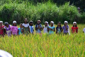 29312 koithulsavam14.jpeg