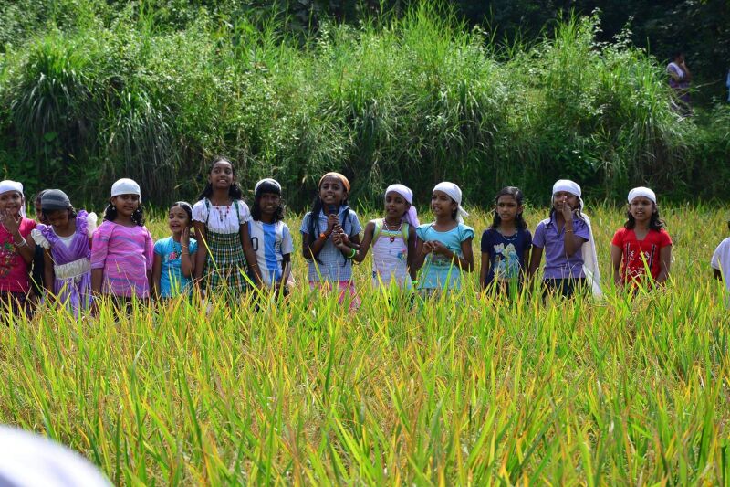 പ്രമാണം:29312 koithulsavam14.jpeg