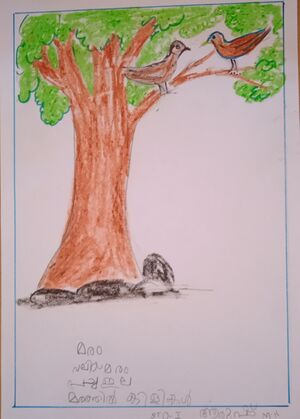 31262-KTM-KUNJ-ARUSH M N.jpg