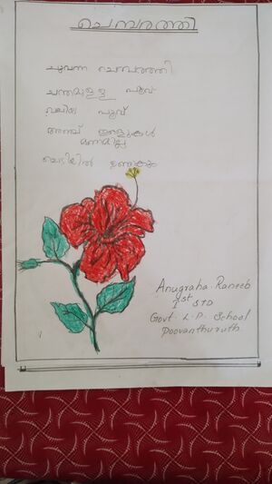 33408-KTM-KUNJ-ANUGRAHA RANEEB.jpeg