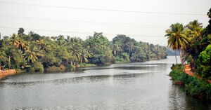 36377 Achankovil river.jpg