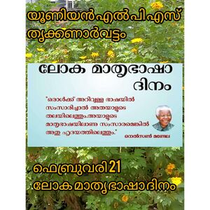 InShot 20240221 164219206.jpg