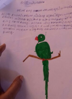 WhatsApp Image 2018-11-23 at 5.30.17 PM.jpeg