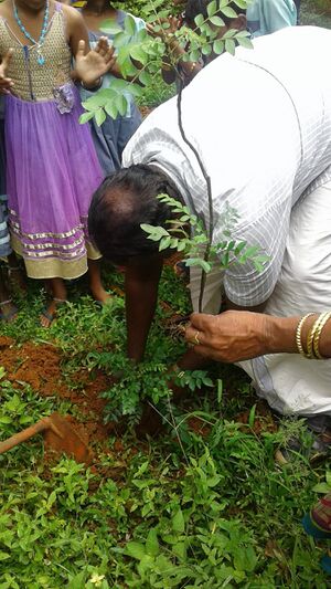 WhatsApp Image 2022-01-27 at 4.45.27 PM.jpg