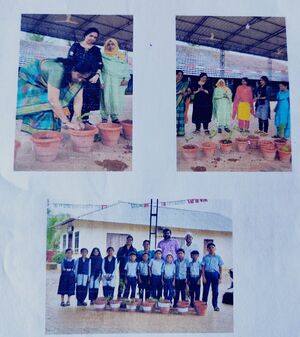 11469 ksd environmentday.jpg