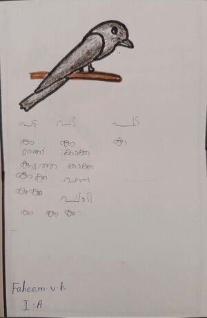 18381-MLP-KUNJ-MUHAMMED FAHEEM P.jpg