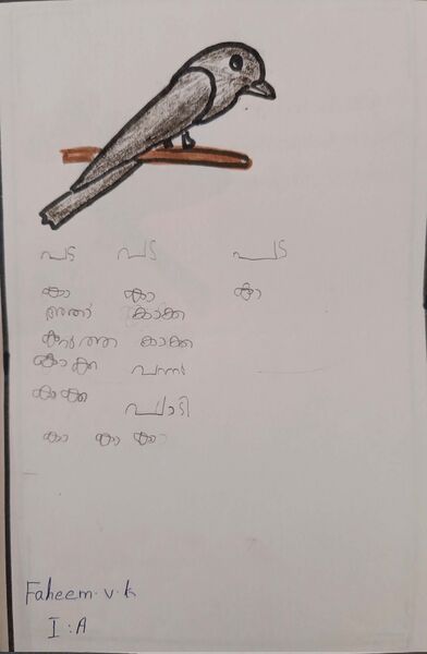 പ്രമാണം:18381-MLP-KUNJ-MUHAMMED FAHEEM P.jpg