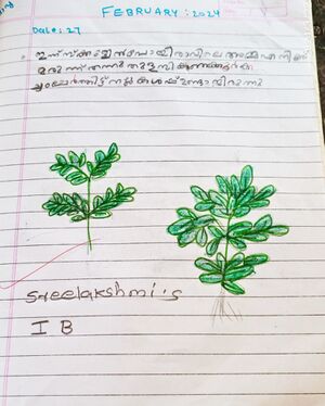 21337-PKD-KUNJ-SREELAKSHMI .jpeg