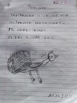 21529-PKD-KUNJ-ARYAJITH A R.jpg