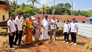 22058 seedballtrow 2025.jpg