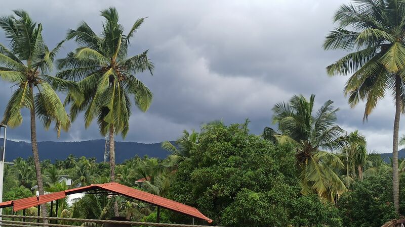 പ്രമാണം:24003 ente gramam nature.resized.jpg