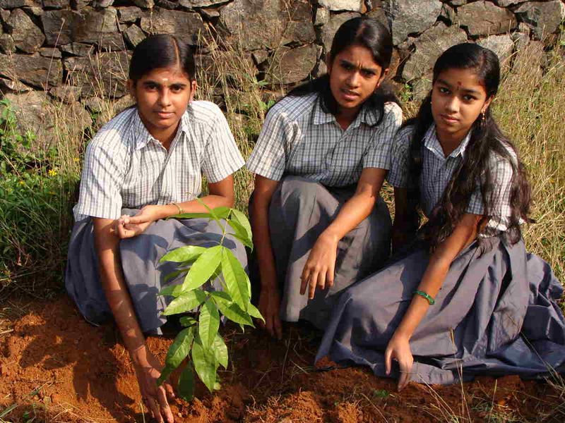 പ്രമാണം:28012 NC0007.jpg