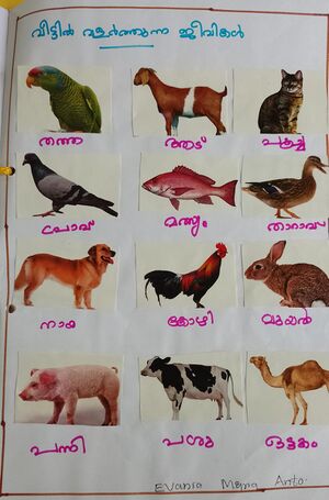 28317-EKM-KUNJ-EVANIYA MARIYA ANTO.jpeg