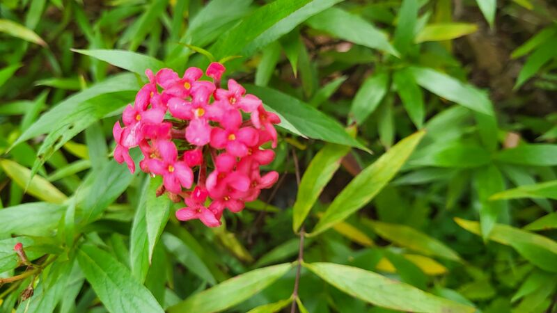 പ്രമാണം:29228 g7.jpg