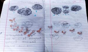 33412-KTM-KUNJ-NEVIN GIGI.jpeg