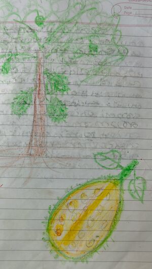 36266-ALP-KUNJ-CHRISTEEN YOHANNAN.jpg