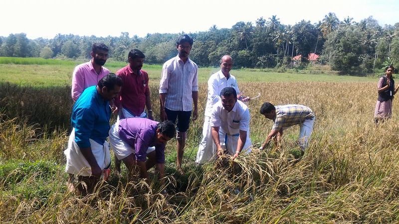 പ്രമാണം:41011 koyithulthsavam3.jpg