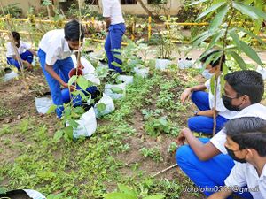 Adukkalathottam 35052 22 (4).jpg