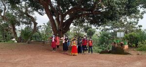 BS21 KLM 39040 2.jpg