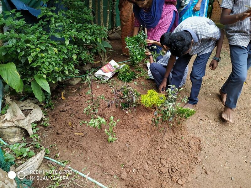 പ്രമാണം:Eco 42003.jpeg