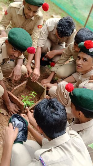 Ncc june5 activity 2024-25.jpg