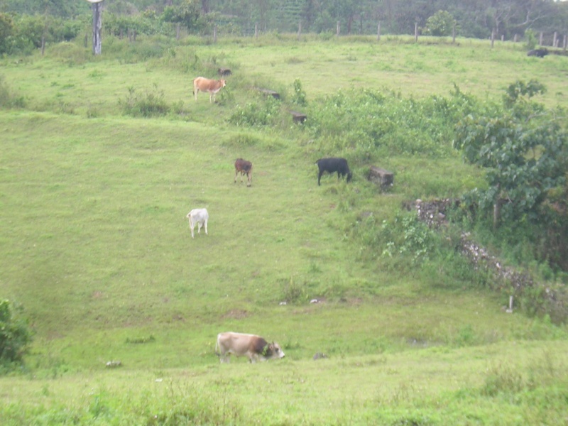 പ്രമാണം:Picture 051.jpg