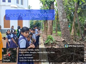Seed ball throwing.jpg