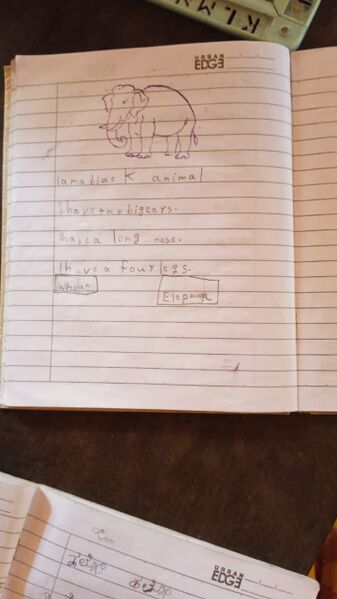 പ്രമാണം:11236-KGD-KUNJ-MARIYAM IFRA 2.jpg