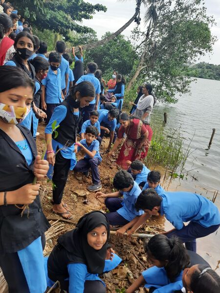 പ്രമാണം:11453 evn12.jpeg