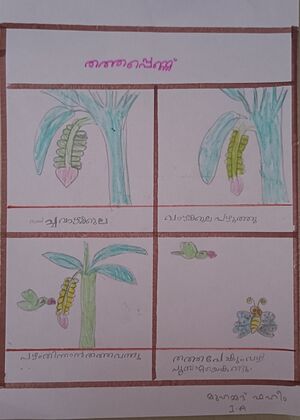 18208-MLP-KUNJ-MUHAMMED FAHEEM.jpg