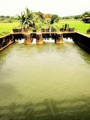 19013 village3JPG.jpeg