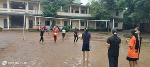 21068 pkd vollybal 1.jpg