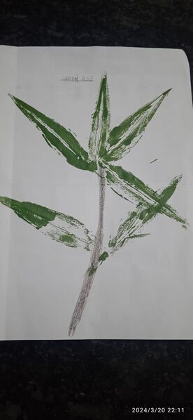 പ്രമാണം:26327-EKM-KUNJ-ARYANANDA S.P.jpg