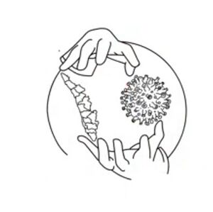 36012-go corona.jpeg