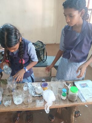 38102-science p3.jpg