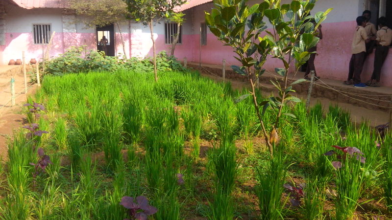 പ്രമാണം:44064 11.jpg