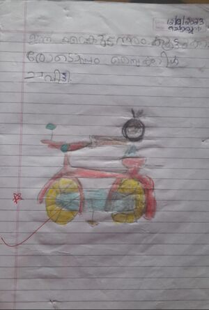 48243 MLP Hasiya 1A.jpg