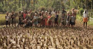 നെൽ കൃഷി കൃഷി അറിവുകൾ കുട്ടികളിലേക്ക് അനുഭവമായി നൽകാൻ വേണ്ടി നടത്തിയ കൃഷി പാ൦ം പരിപാടി.