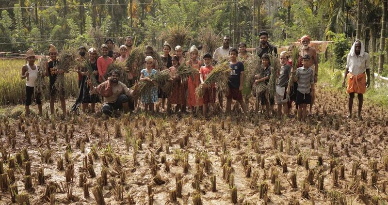 പ്രമാണം:48562 2.jpg