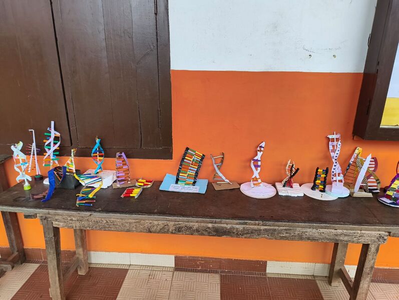 പ്രമാണം:DNA 2.jpg