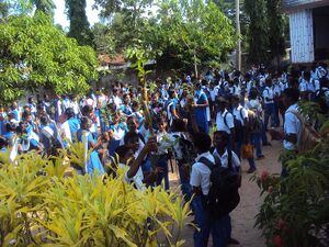 Envorinmnet13 35052 (3).JPG