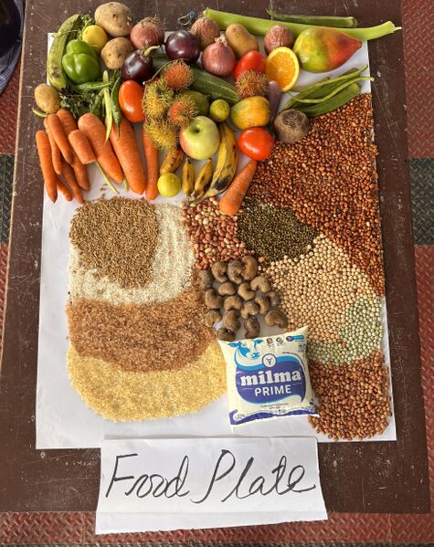 പ്രമാണം:FOOD PLATE.jpg