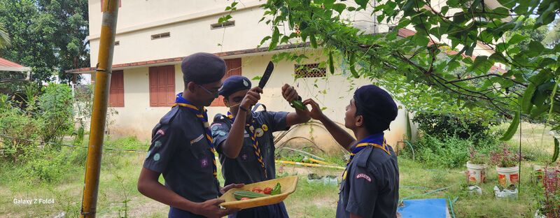 പ്രമാണം:Vegetable garden 35052 23 4.jpg