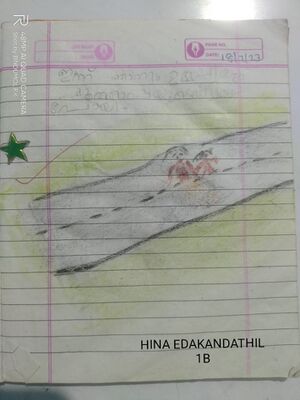 19077-MLP-KUNJ- HINA EDAKKANDATHIL(1B).jpeg