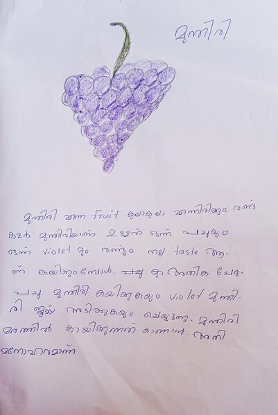 പ്രമാണം:19865-MLP-KUNJ-MUHAMMED RAZEEM IA.jpg